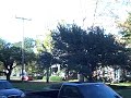 Flip Mino outdoor test 1