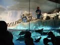 DSCF0341