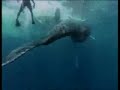 Cousteau and the Rights of Future Generations