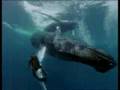 Cousteau and the Rights of Future Generations