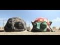 View Video