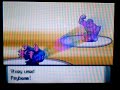 ポケットモンスター パール動画