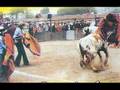videos de CHOLO GRAUINO  CONJ. WIÑAY TAKIY