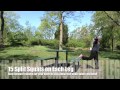 Park bench workout