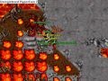 Dragon Lords Ankrahmun
