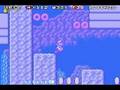 Super Mario Advance 4: e-reader levels (3-3)