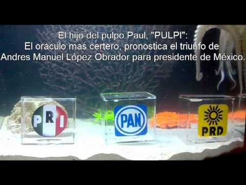 Imagen de previsualización de YouTube