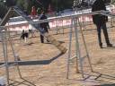 GALETA (16.11.08) - Open agility TOSSUTS GALETA (16.11.08) - Open agility TOSSUTS