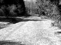 Video Haiku: Filming The Long Road