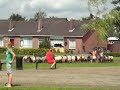 Tweelingdorp008   Schaap &amp; Co08   Klaarkamp   4.55