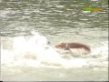 Chris Brands EK Echternach deel 1.wmv