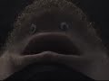 XXX XXX