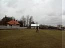 konie grocha i moie