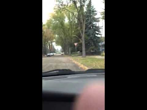 bknoppe - Some random diving riding around Argyll with his buddy sitting half out the window. NBD!
