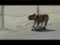 Discovery Commercial - Let\