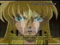 tributo saga shura camus shaka