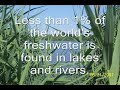 Water Pollution
