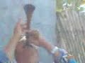 gayta o gasba gayta o gasba