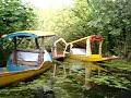 'Back alleys' of Dal Lake in Srinagar, Kashmir