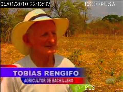 Imagen de previsualización de YouTube