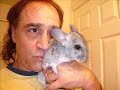 IN MEMORY OF PEDRO THE CHINCHILLA