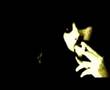 Camino solo - Videoclip