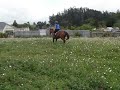 Loren and Charli jumping bridleless