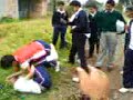 pelea nemo juana de asbaje