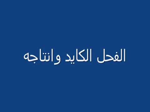 الفحل النجدي المشهور برقان من اشهر الاغنام النجديه في الجزيره العربيه