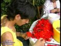 Infiorata Cervaro (FR) preparazione fiori