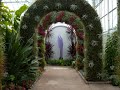 Botanical Garden Botanical Garden