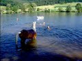 seepferdchen am appeln:)