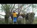 videos de Knotten 3