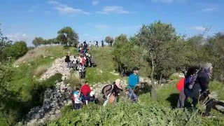 تجوال سفر على قمة تل تعنك