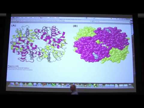 tertiary - 1. Contact me at kgahern@davincipress.com / Friend me on Facebook (kevin.g.ahern) 2. Download my new free biochemistry book at http://biochem.science.oregons...