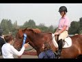 Kilham Farm at Woodside Horse Show: Summer 2008