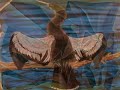 Crowdog&Brown NAC song