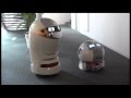 The MANZAI Robot @Konan Univ. 2010