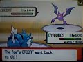 Wi-Fi Battle #66 (Killer Nacho v Garchomp Master) [WAR]