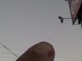 OVINI OVINI