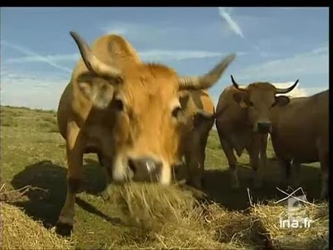 Image de prévisualisation YouTube