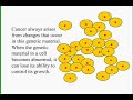 Brain Cancer - Interactive Health Tutorial - Part 1 Brain Cancer - Interactive Health Tutorial - Part 1