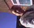 videos de BENSHAM MAN ARGUMENT ABOUT FALSE TAN (MARK HALL)