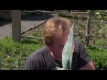 Five Tips for New Gardeners | At Home With P. Allen Smith