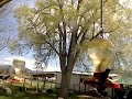 SW Colorado Hummingbirds