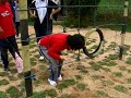 Team Building Game - Obstacle (Success Team) Team Building Game - Obstacle (Success Team)
