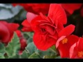 Photography Compilation - Nature/Wildlife