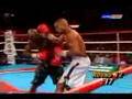 boxin brutality the best knock outs