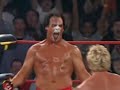 Sting - Rock You Like A Hurricane Sting - Rock You Like A Hurricane