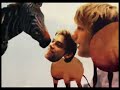 Jagga Jazzist-Animal Chin